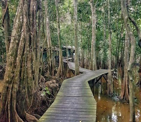 This season was shot in borneo, sabah, malaysia. Borneo: Breaking out of your comfort zone into the jungle ...