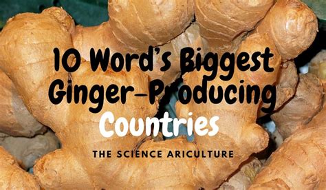 10 Words Biggest Ginger Producing Countries The Science Agriculture