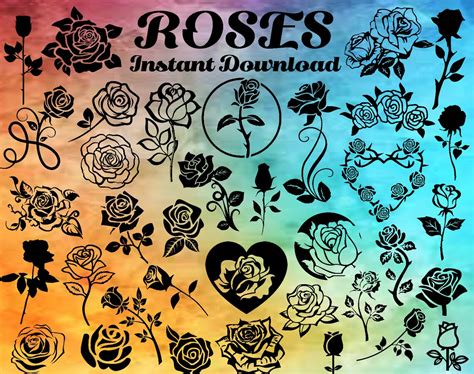 Rose Svg Bundle 36 Images Rose Svg Roses Clipart Rose Png Etsy