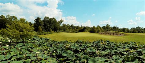 Forest Hill Golf Course We Now Feature Champion Bermuda On All Our