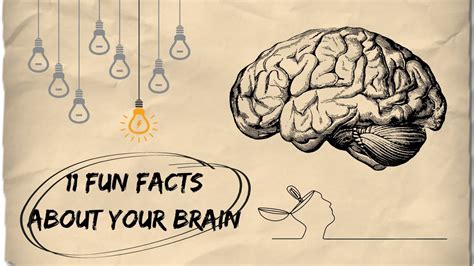 11 Fun Facts About Your Brain Youtube