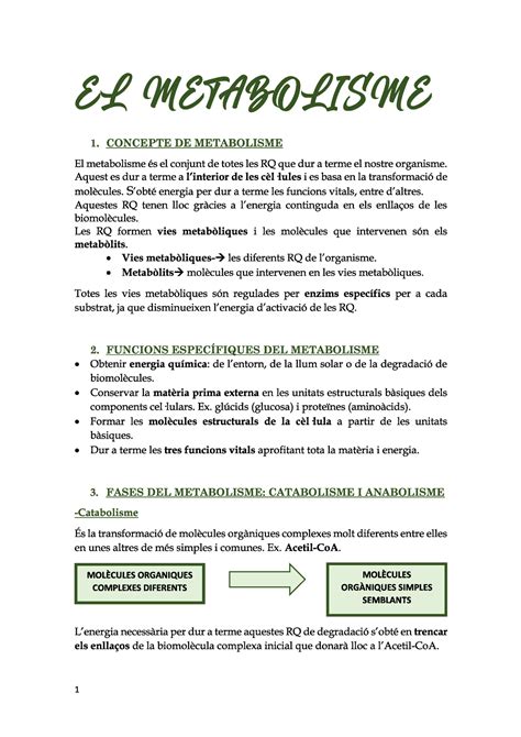 Metabolsime Metabolisme Biologia Studocu