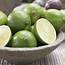 Persian Tahiti Lime – Dwarf  Brite Leaf Citrus Nursery