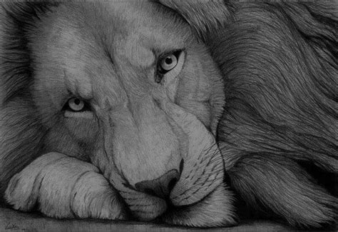 Wow Lindo Dibujo A Lápiz Sketches And Doodles Pencil Drawings