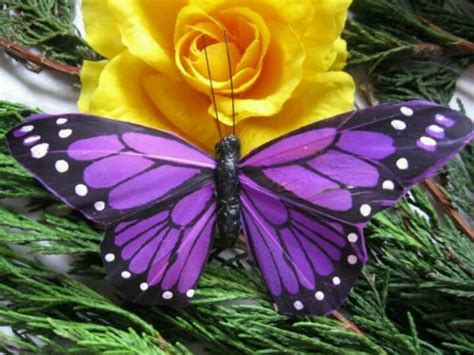 The most common blue yellow butterfly material is metal. Purple butterfly | Butterfly pictures, Purple butterfly ...