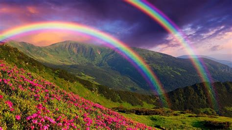 Wallpaper Sunlight Nature Sky Field Rainbows Atmosphere Flower