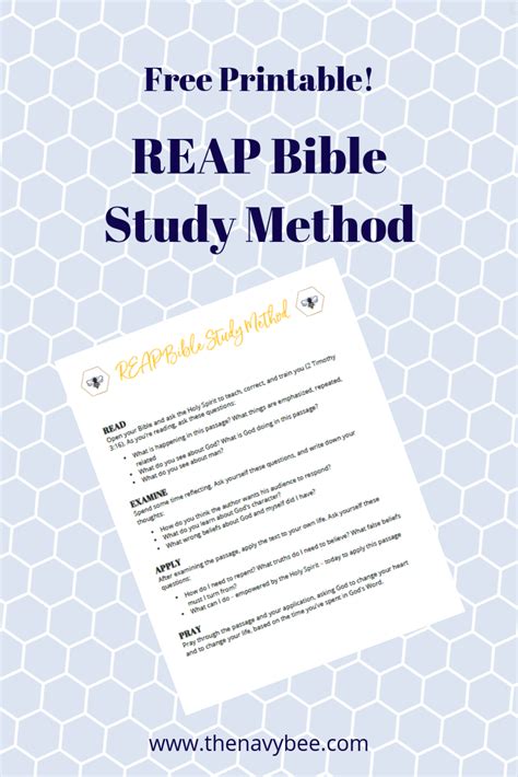 Reap Bible Study Method Helps You Process Scripture Study Methods