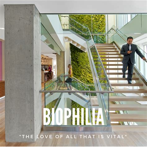 What Is Biophilic Design Caragreen