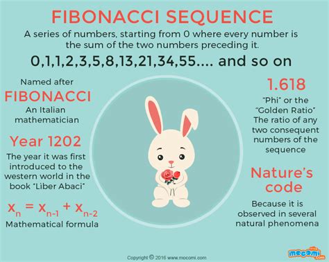 What Is Fibonacci Series Ographic Fibonacci Sequence Math