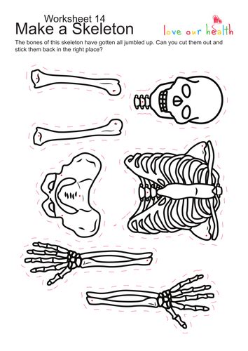 Cut And Stick Skeletonpdf Science Pinterest