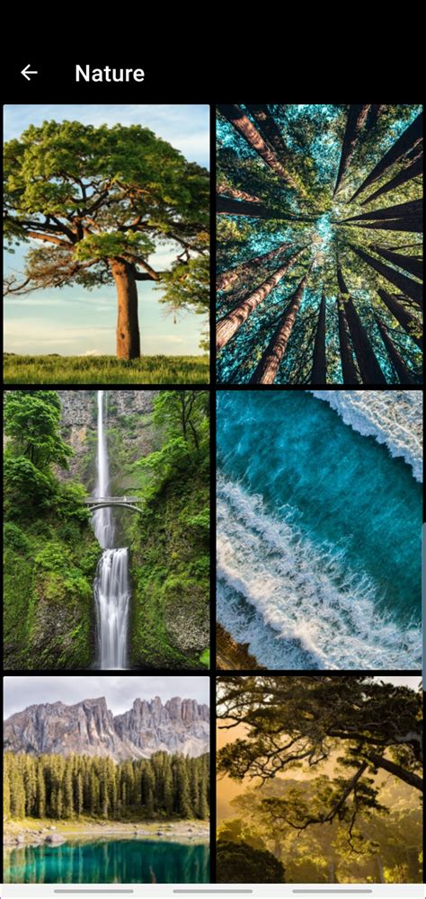 The app contains a bunch of. 5 Best Galaxy S10 and S10 Plus Wallpaper Apps That You ...