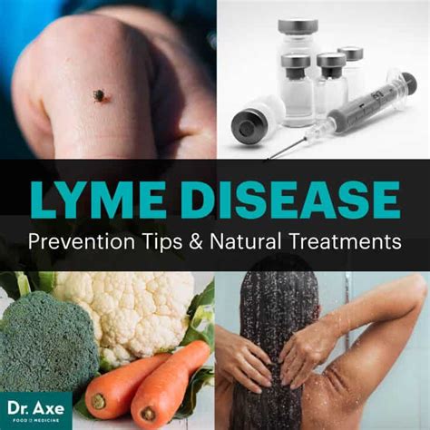 Lyme Disease Treatment Options Causes How To Prevent Dr Axe