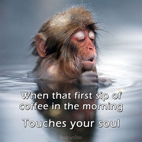 Lazy Sunday Touching You Epic Funny Pictures Coffee Pray Make Envelopes Fanny Pics Kaffee