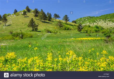Mountain Landscape In Lika Croatia Stock Photo Alamy