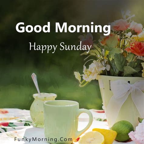 185 Best Good Morning Sunday Images Sunday Good Morning Pics 2022