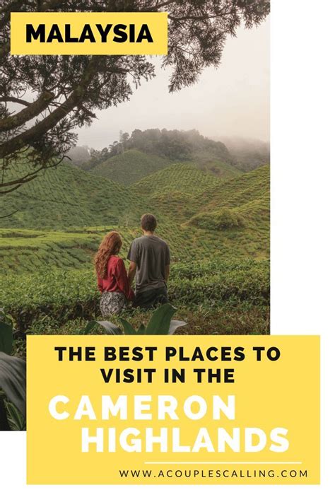 The cameron highlands is one of malaysia's most extensive hill stations. The 9 Best Places To Visit In Cameron Highlands (The ...