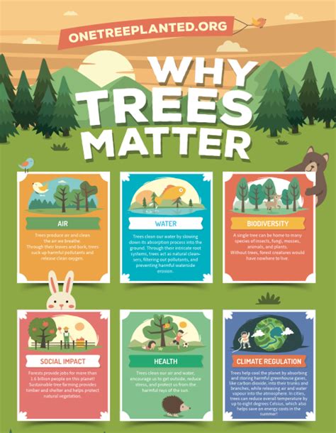 Why Trees Are Important One Tree Planted Graphic Design Infographic