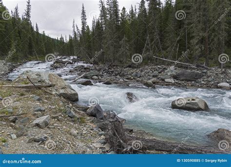 Altai Mountains The Shawla River Siberia Russia Stock Image Image