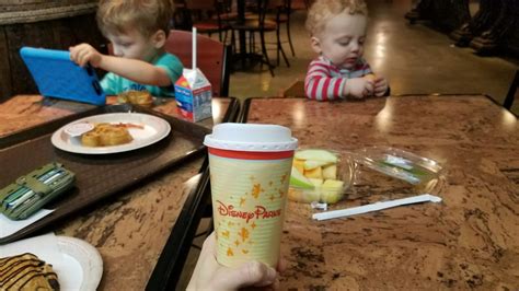 The Ultimate Guide Of Tips For Disney World With Toddlers And Babies