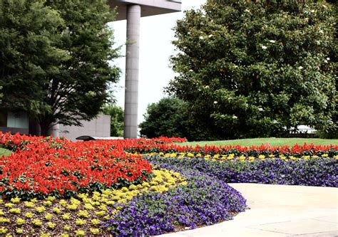 What Should I Look For In A Commercial Landscaping Contractor