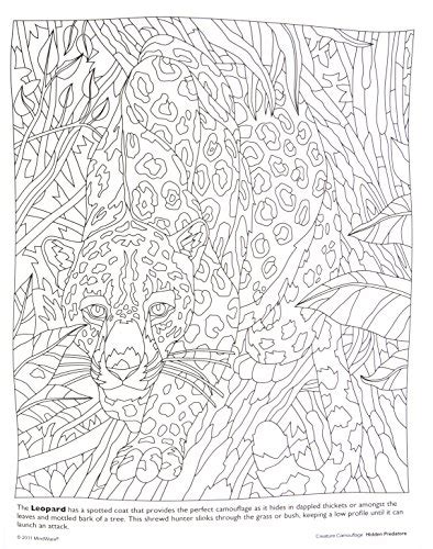 Animal Camouflage Coloring Pages Printable It Is Full Of Fun Math And