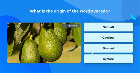 What Is The Origin Of The Word Avocado Trivia Answers Quizzclub