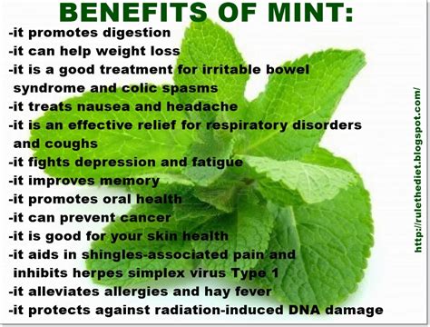 Weight Loss For A Healthy Lifestyle Health Benefits Of Mint