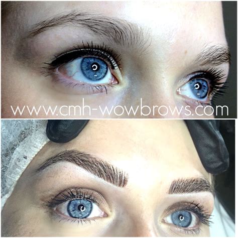 Hair Stroke Feather Touch Microblading Microstroke Tattooed