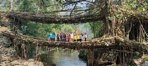 Why We Love Meghalayas Living Root Bridges Get Ahead