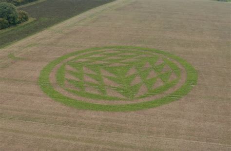 Mysterious Crop Circle Turns Green In Weathered Autumn Field • Soulask