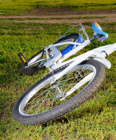 Bicycle Lying On The Grass Stock Image Image Of Bicycling 73563557