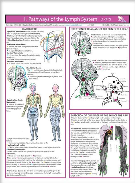Pin By Allyson Chong On Health Mld Lymphedema Treatment Lymphatic