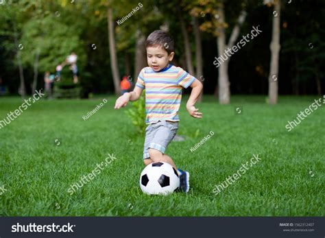 Very Happy Little Boy Playing Ball Stock Photo 1562312407 Shutterstock