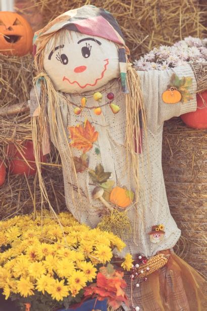 Cute Scarecrow Free Stock Photo Public Domain Pictures