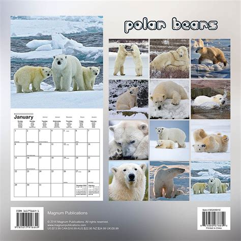 Polar Bears Calendar 2017 Mganm10 Wildlife Animals
