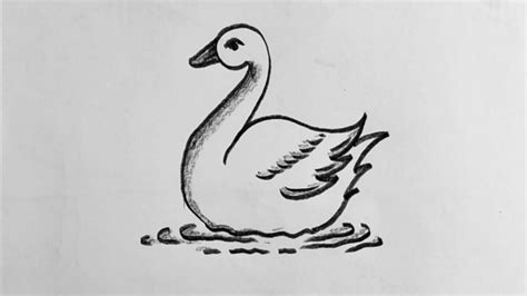 How To Draw A Duck Very Easy Drawing Pencil Sketch Duck Drawing Kids
