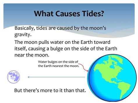 Ppt What Causes Tides Powerpoint Presentation Free Download Id