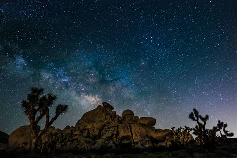 Night Sky Photography In Joshua Tree — Shawn Moreton Photography