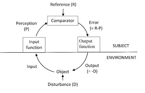 Th E Model Of The Negative Feedback Loop Download Scientific Diagram