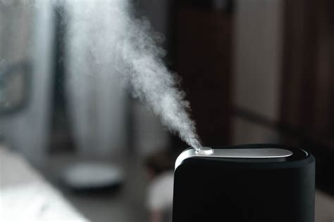 5 best steam humidifiers reviews and buying guide