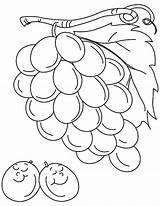 Grapes Coloring Drawing Pages Grape Color Sleeping Two Colorluna Luna Cute sketch template