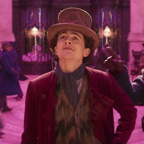 don t repost without credits please timothée chalamet willy wonka 2023 pfp profile