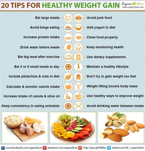 20 Methods For Healthy Weight Gain Organic Facts
