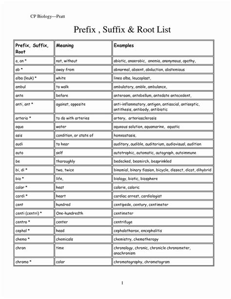 Medical Terminology Printable Worksheets In 2021 Prefixes And