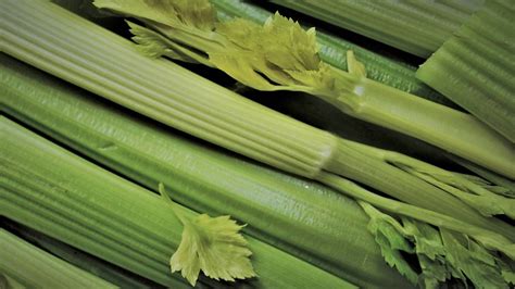 Celery Growing Advice And Variety Guide Nz