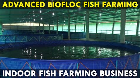 Advanced Biofloc Fish Farming Technology Indoor Fish Farming Business
