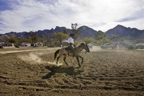 Taking Stock Of Oro Valley At Age 40 Northwest
