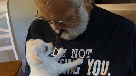 Grandpa Eats Dog St Youtube
