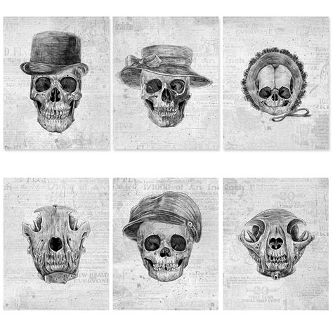 Buy Skull Poster Set 8x10 Unframed Skeleton Poster Skull Wall