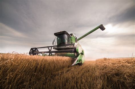Lagging winter wheat harvest finally gaining momentum | 2019-06-27 ...
